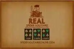 Real Spider Solitaire